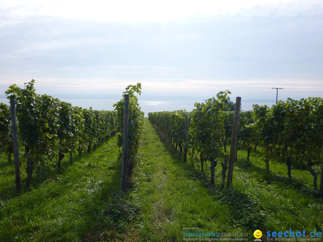 Tag der Deutschen Einheit: Meersburg am Bodensee, 03.10.2013