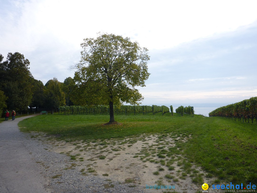 Tag der Deutschen Einheit: Meersburg am Bodensee, 03.10.2013