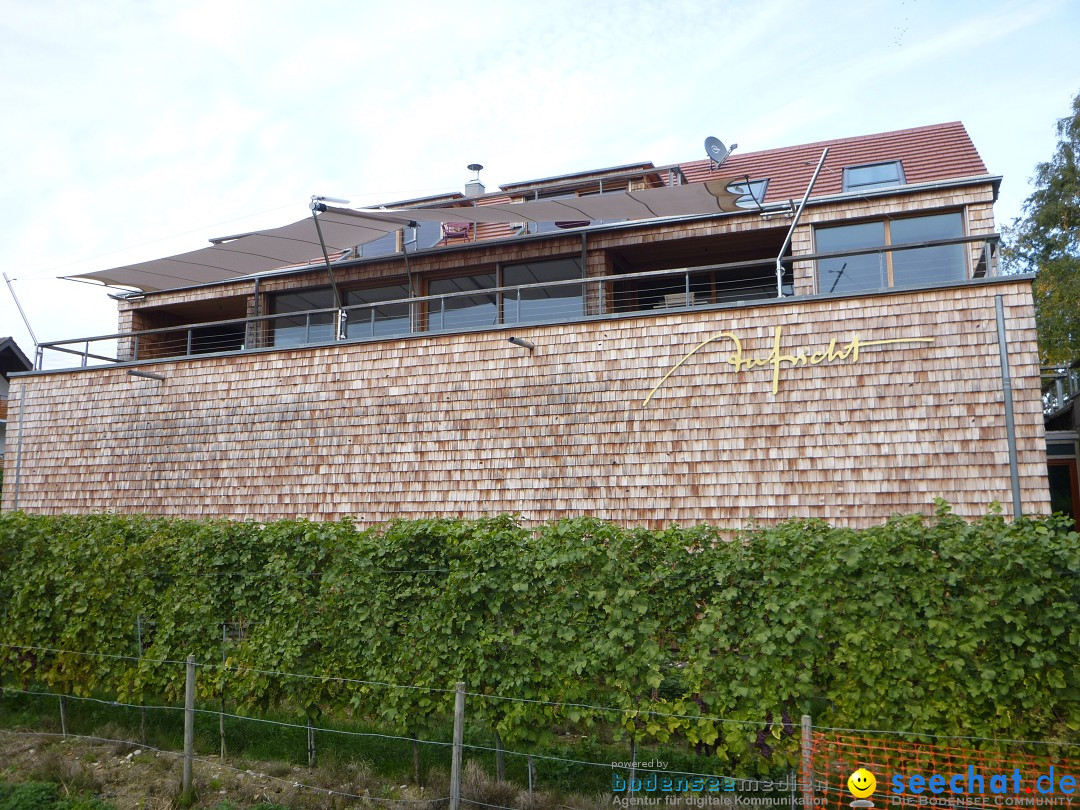 Tag der Deutschen Einheit: Meersburg am Bodensee, 03.10.2013