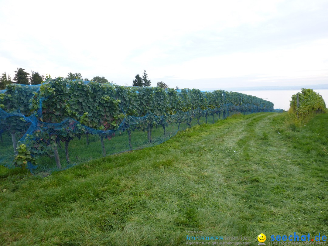 Tag der Deutschen Einheit: Meersburg am Bodensee, 03.10.2013