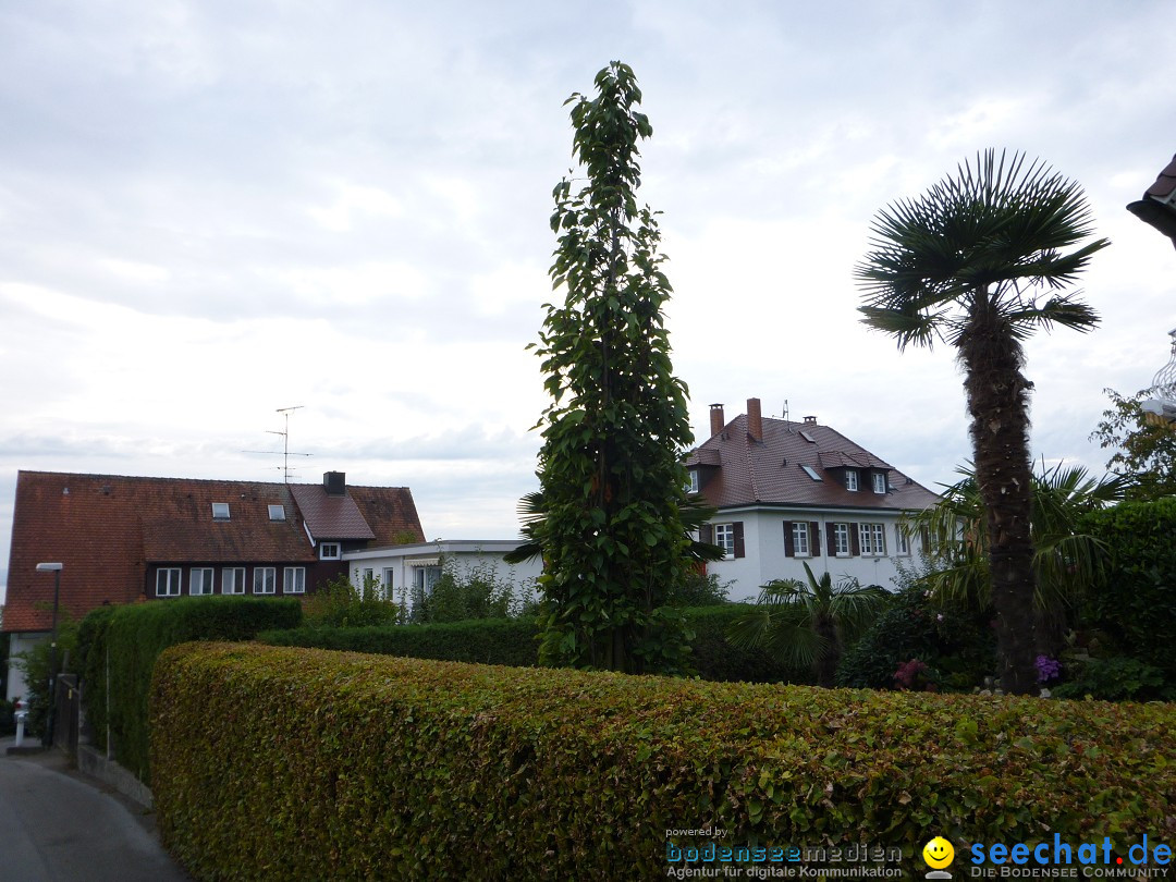 Tag der Deutschen Einheit: Meersburg am Bodensee, 03.10.2013