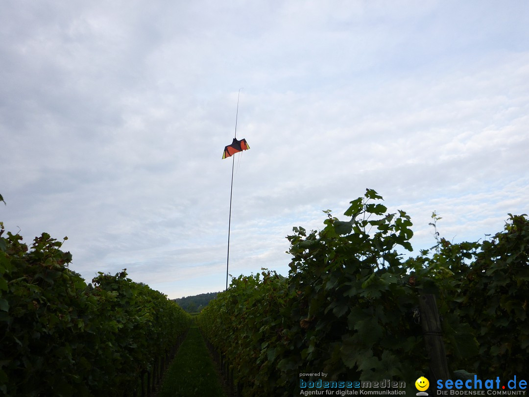 Tag der Deutschen Einheit: Meersburg am Bodensee, 03.10.2013