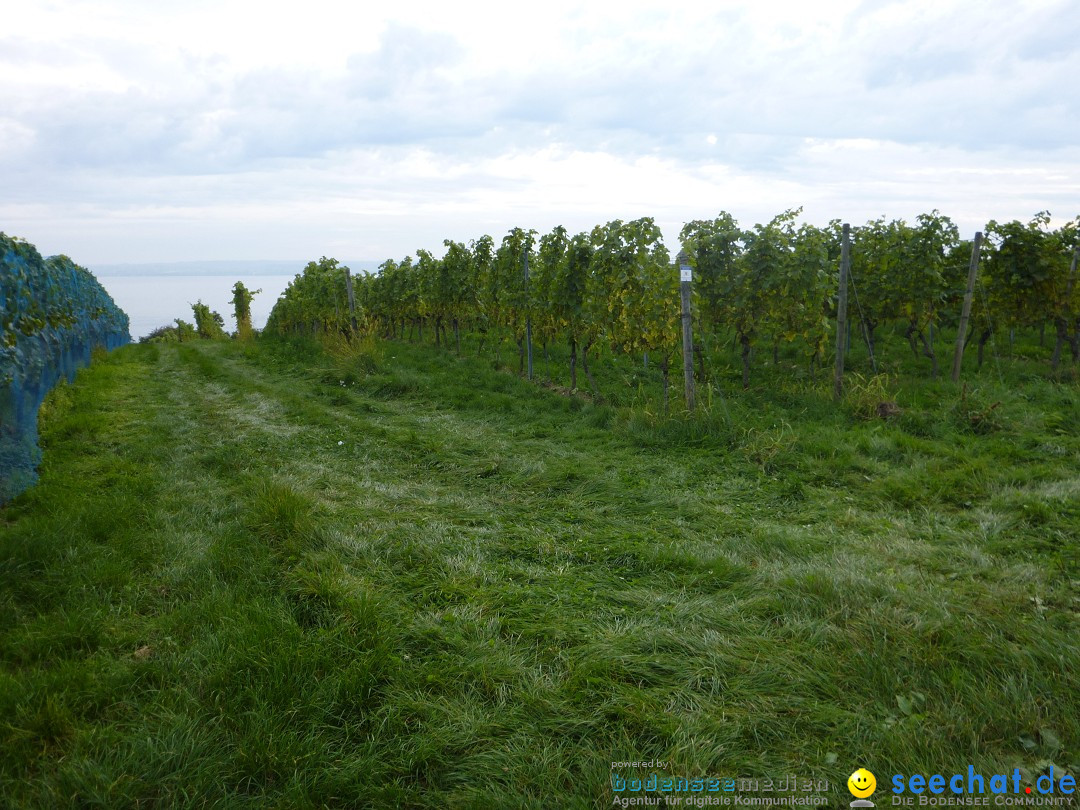 Tag der Deutschen Einheit: Meersburg am Bodensee, 03.10.2013