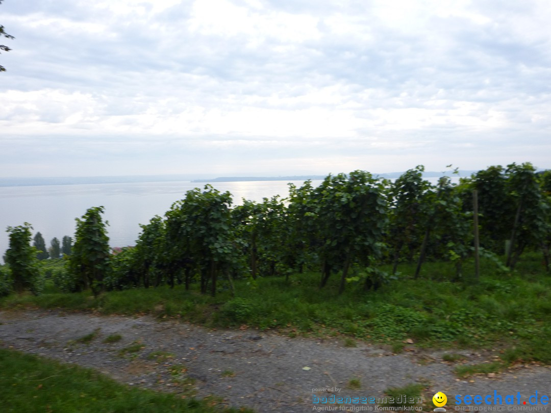 Tag der Deutschen Einheit: Meersburg am Bodensee, 03.10.2013