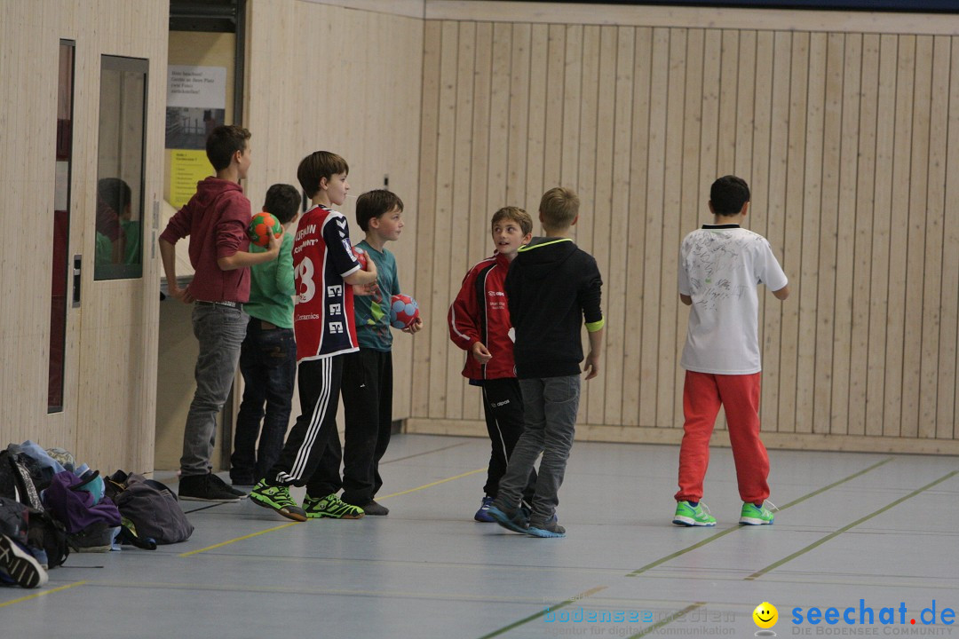 Handball Bodensee: HSC Radolfzell vs. TV Ueberlingen: Radolfzell, 20.10.13