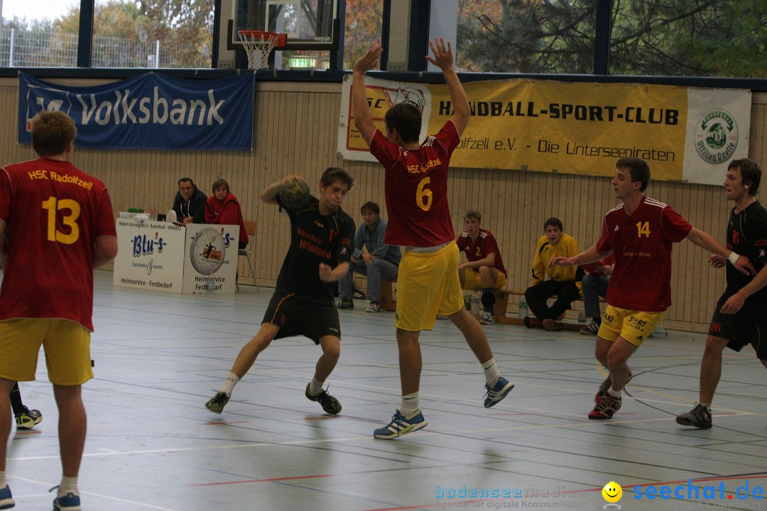 Handball Bodensee: HSC Radolfzell vs. TV Ueberlingen: Radolfzell, 20.10.13