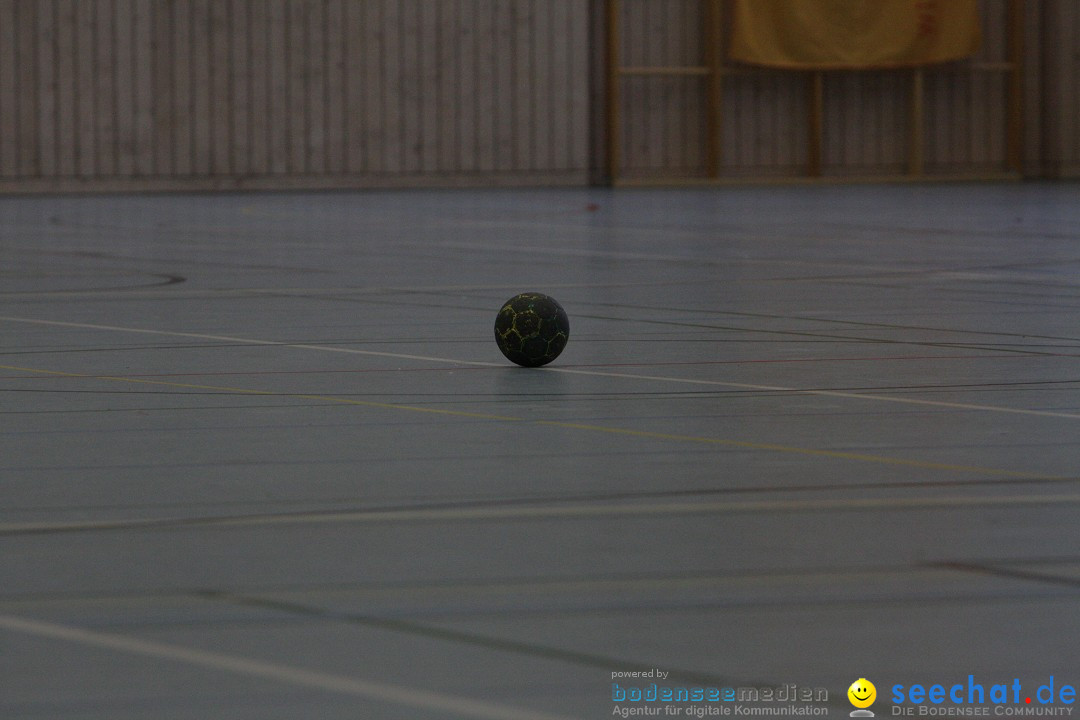 Handball Bodensee: HSC Radolfzell vs. TV Ueberlingen: Radolfzell, 20.10.13