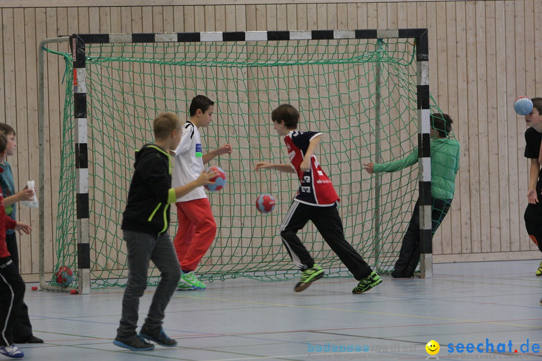 Handball Bodensee: HSC Radolfzell vs. TV Ueberlingen: Radolfzell, 20.10.13