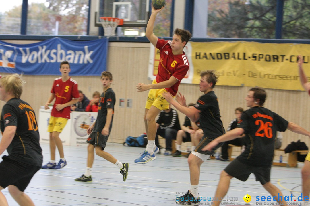 Handball Bodensee: HSC Radolfzell vs. TV Ueberlingen: Radolfzell, 20.10.13