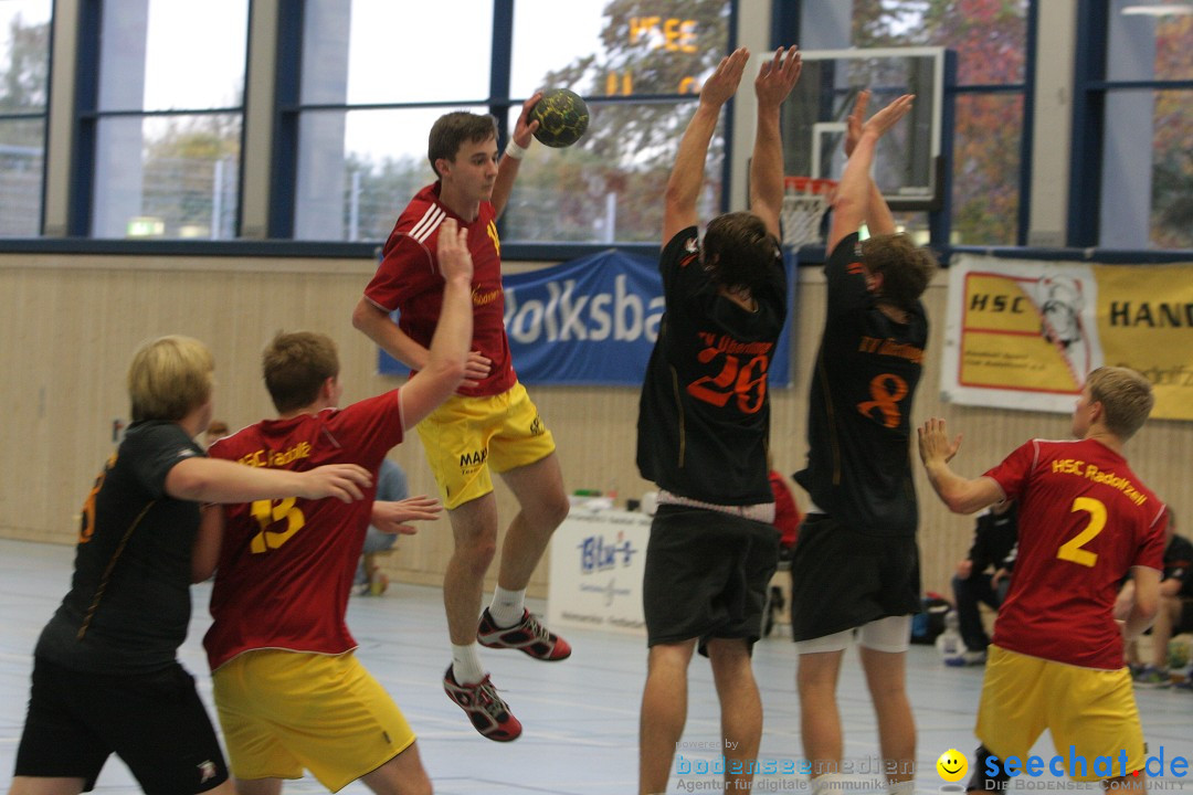 Handball Bodensee: HSC Radolfzell vs. TV Ueberlingen: Radolfzell, 20.10.13