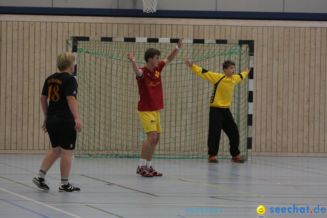 Handball Bodensee: HSC Radolfzell vs. TV Ueberlingen: Radolfzell, 20.10.13