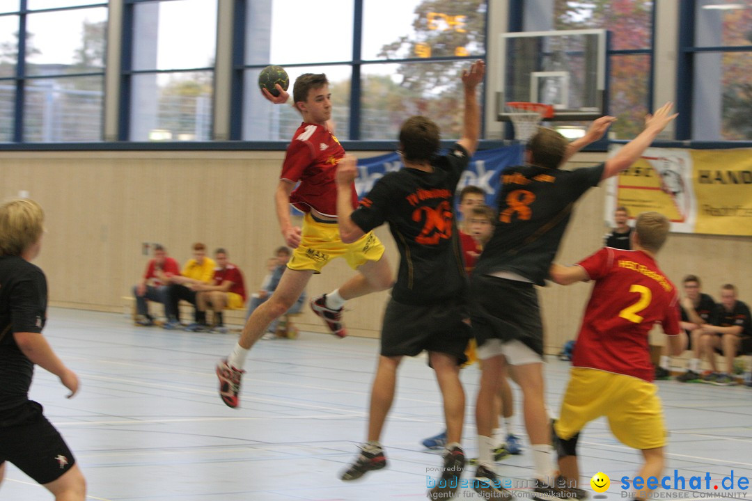 Handball Bodensee: HSC Radolfzell vs. TV Ueberlingen: Radolfzell, 20.10.13