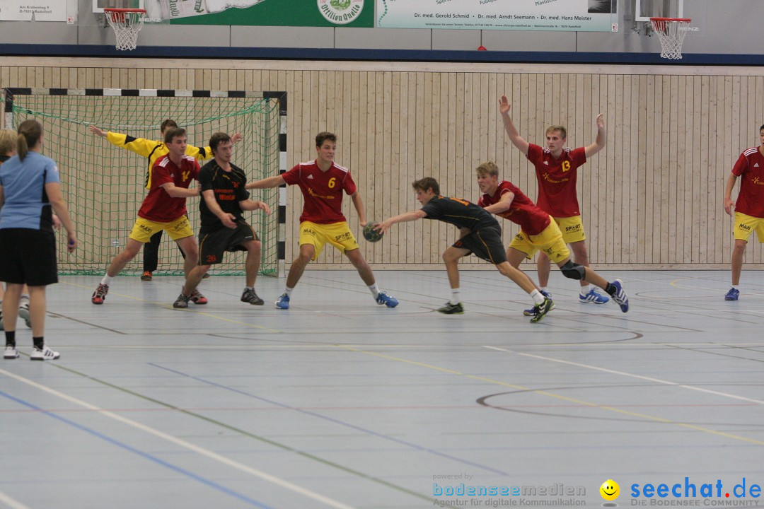 Handball Bodensee: HSC Radolfzell vs. TV Ueberlingen: Radolfzell, 20.10.13