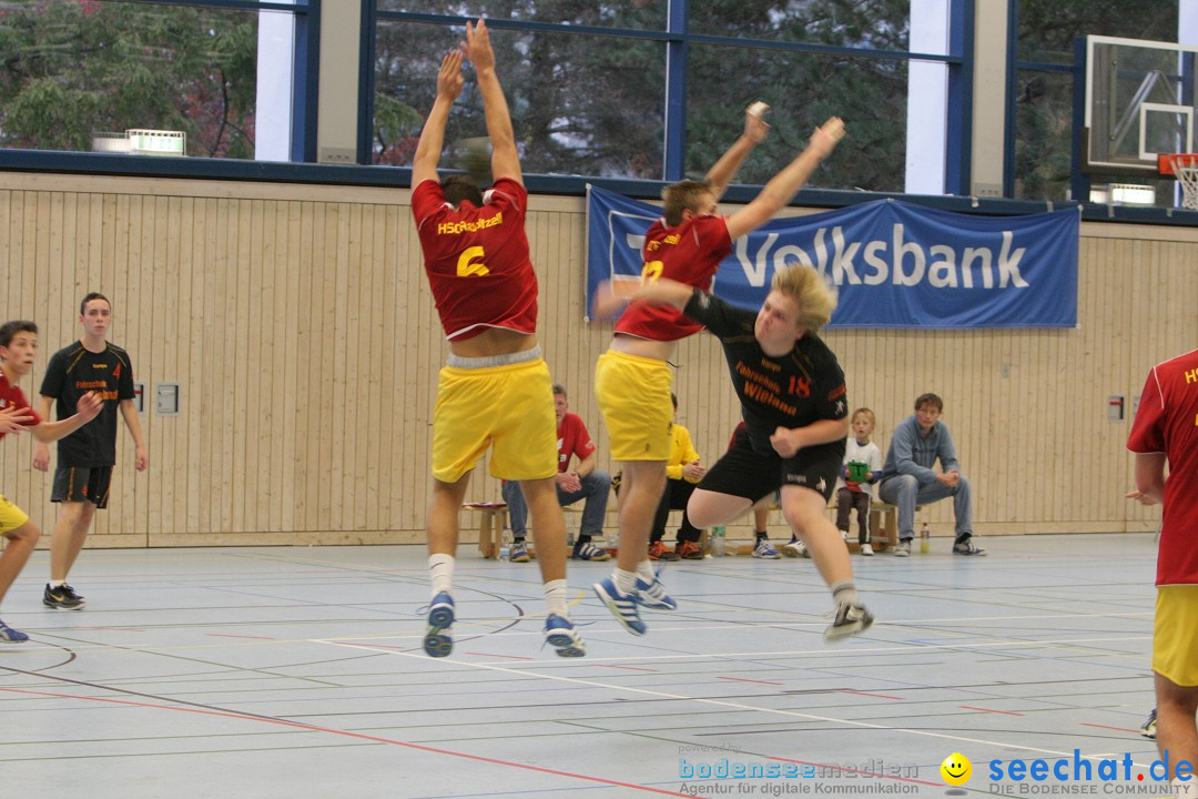 Handball Bodensee: HSC Radolfzell vs. TV Ueberlingen: Radolfzell, 20.10.13