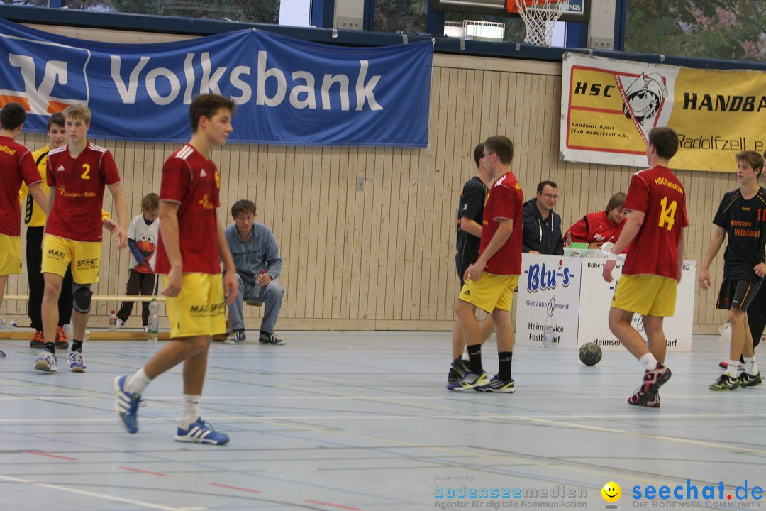 Handball Bodensee: HSC Radolfzell vs. TV Ueberlingen: Radolfzell, 20.10.13