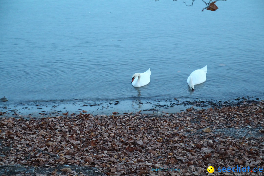 Hochzeitsmesse: Verliebt, Verlobt, Verheiratet: Bodensee Insel Mainau, 02.1