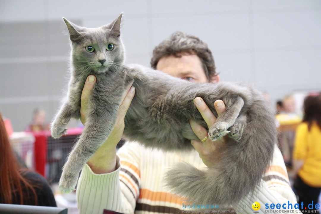 ANIMAL - Die Heimtiermesse: Messe Stuttgart, 16.11.2013