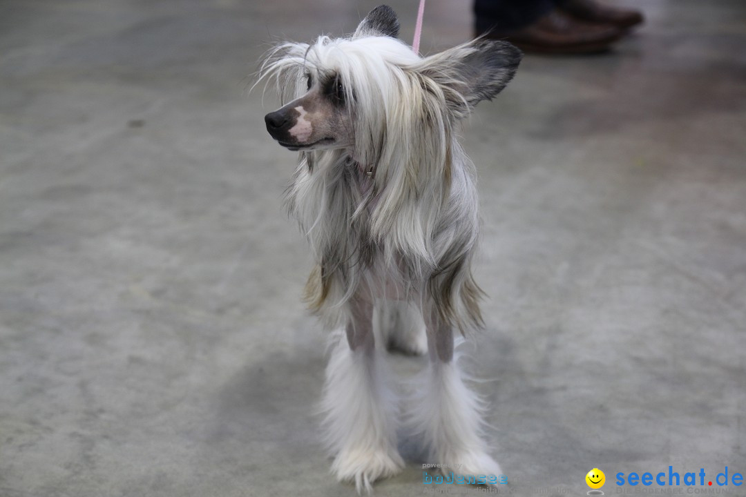 ANIMAL - Die Heimtiermesse: Messe Stuttgart, 16.11.2013