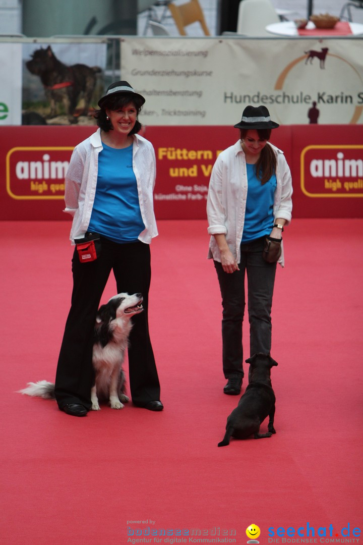 ANIMAL - Die Heimtiermesse: Messe Stuttgart, 16.11.2013