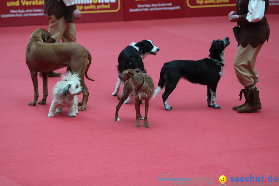 ANIMAL - Die Heimtiermesse: Messe Stuttgart, 16.11.2013