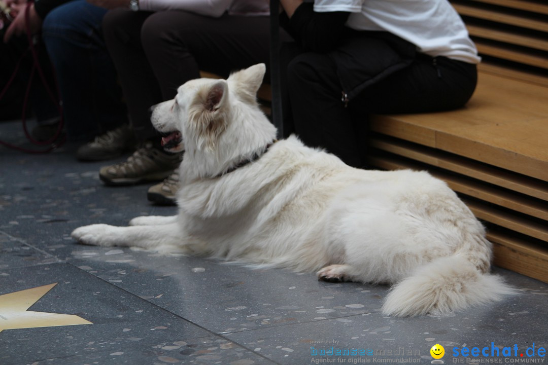 ANIMAL - Die Heimtiermesse: Messe Stuttgart, 16.11.2013