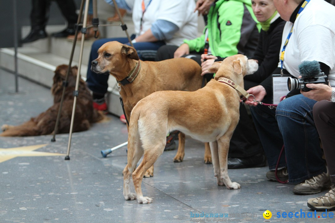 ANIMAL - Die Heimtiermesse: Messe Stuttgart, 16.11.2013