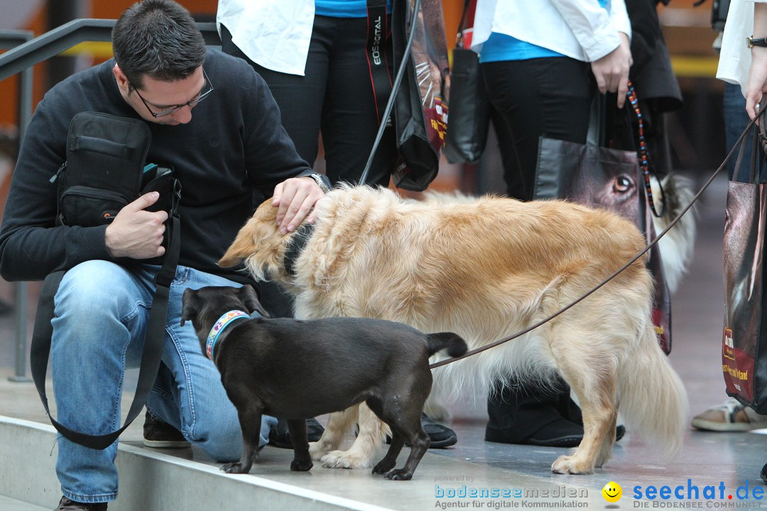 ANIMAL - Die Heimtiermesse: Messe Stuttgart, 16.11.2013