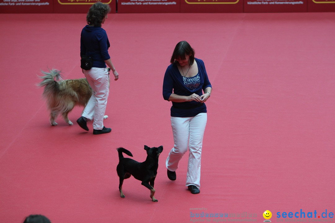 ANIMAL - Die Heimtiermesse: Messe Stuttgart, 16.11.2013