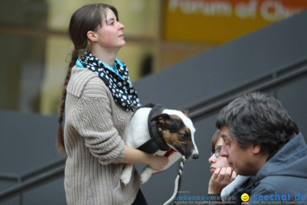 ANIMAL - Die Heimtiermesse: Messe Stuttgart, 16.11.2013