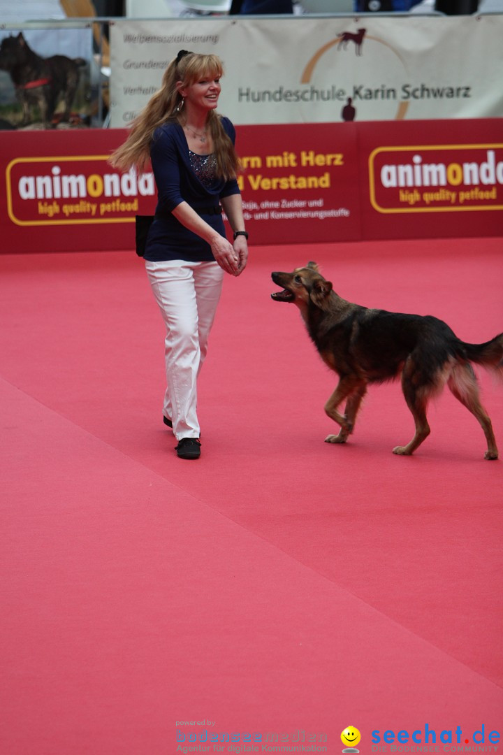 ANIMAL - Die Heimtiermesse: Messe Stuttgart, 16.11.2013