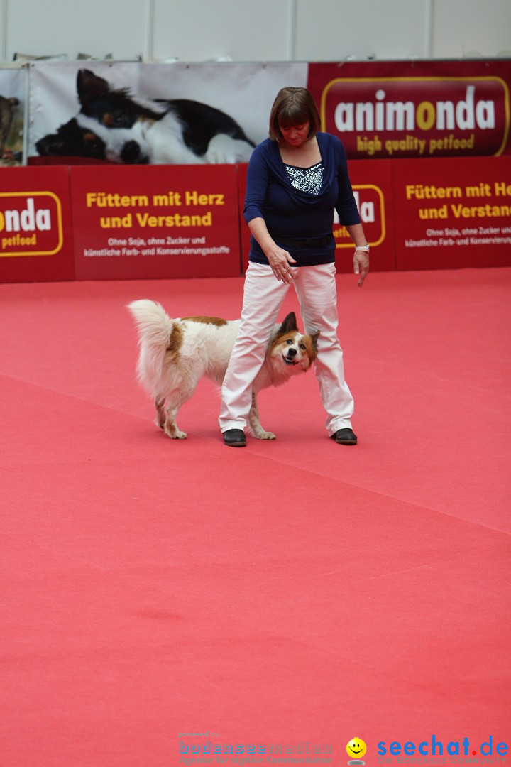 ANIMAL - Die Heimtiermesse: Messe Stuttgart, 16.11.2013