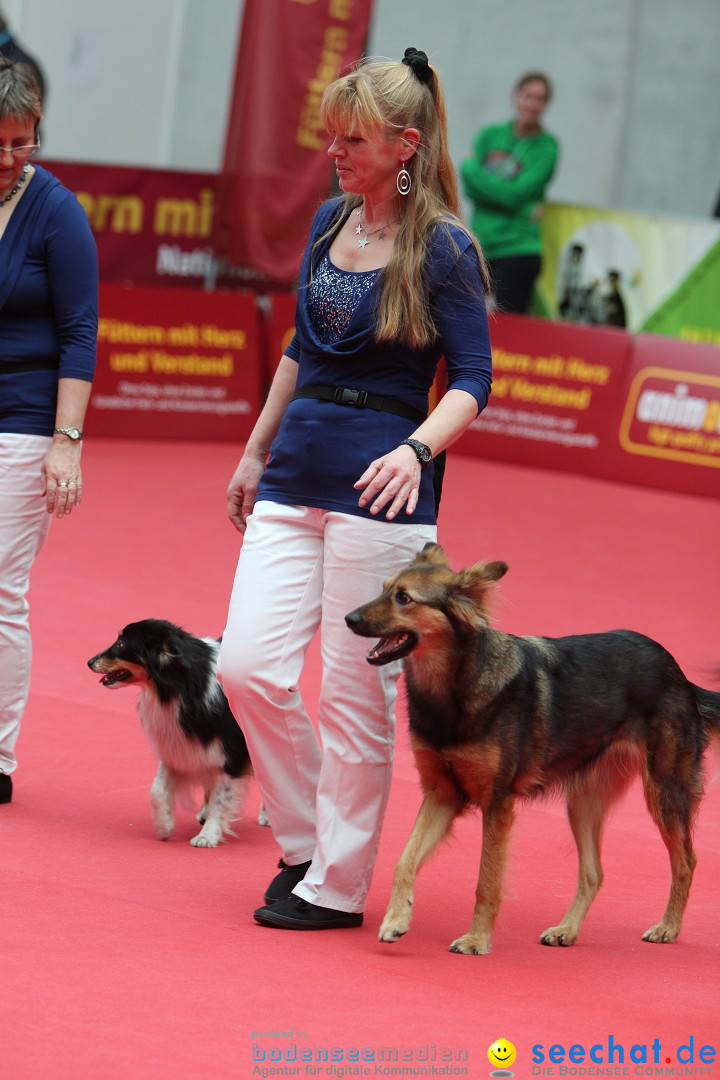 ANIMAL - Die Heimtiermesse: Messe Stuttgart, 16.11.2013