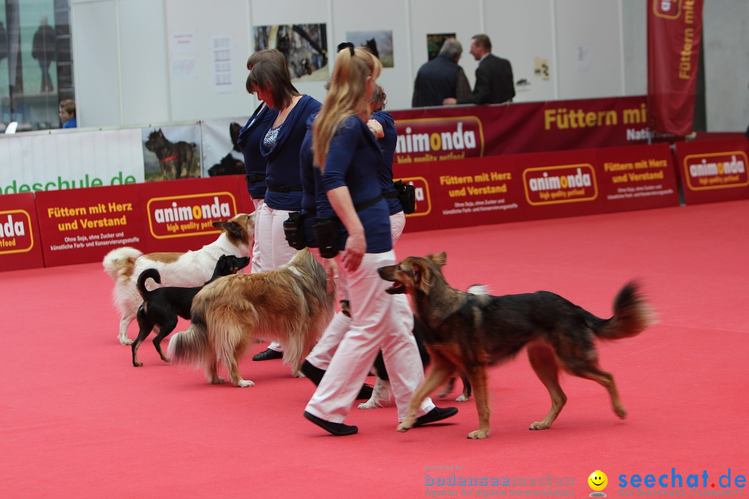 ANIMAL - Die Heimtiermesse: Messe Stuttgart, 16.11.2013