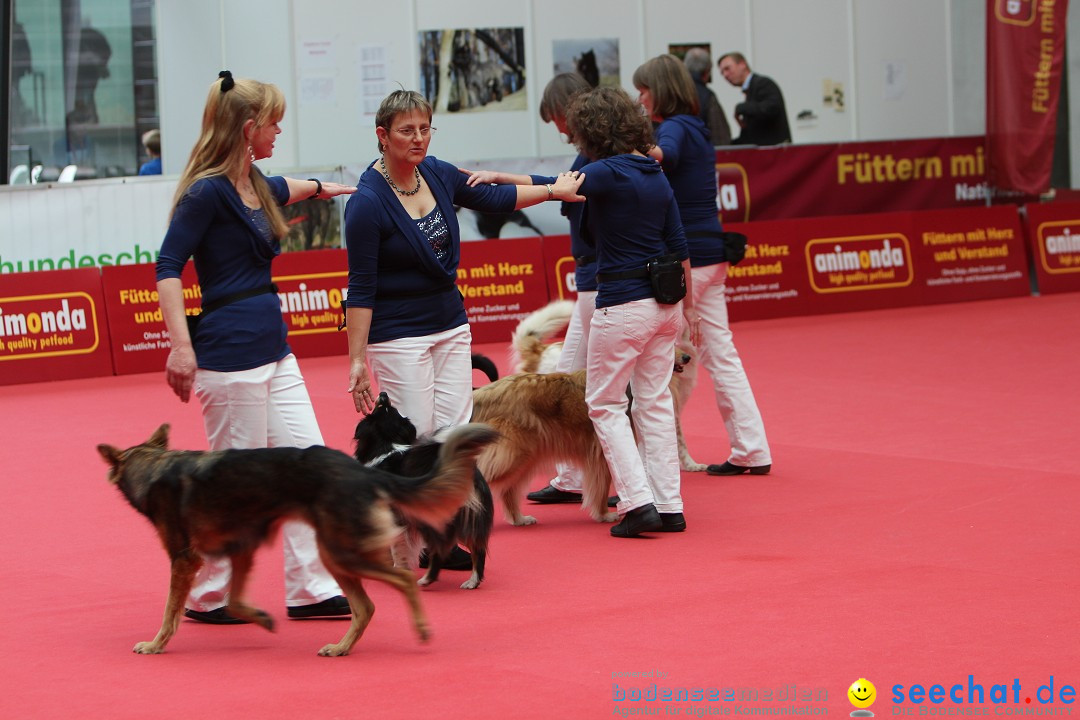 ANIMAL - Die Heimtiermesse: Messe Stuttgart, 16.11.2013