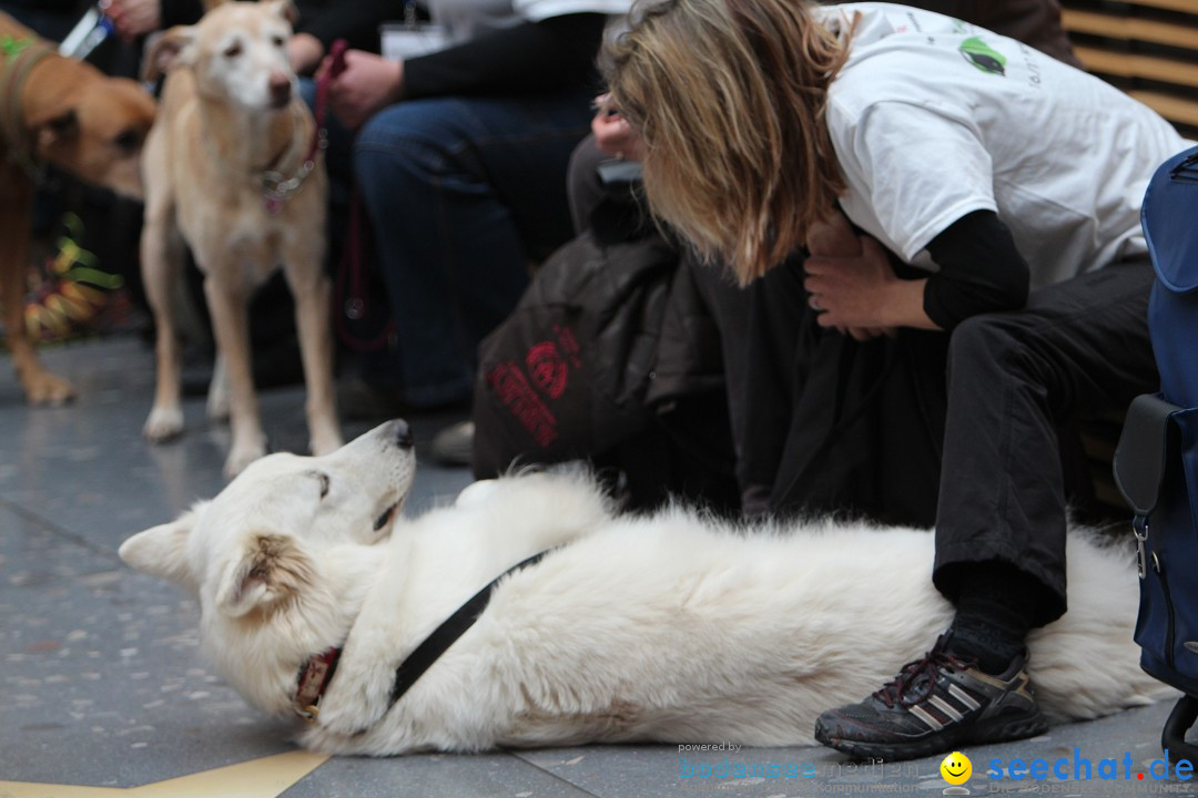 ANIMAL - Die Heimtiermesse: Messe Stuttgart, 16.11.2013