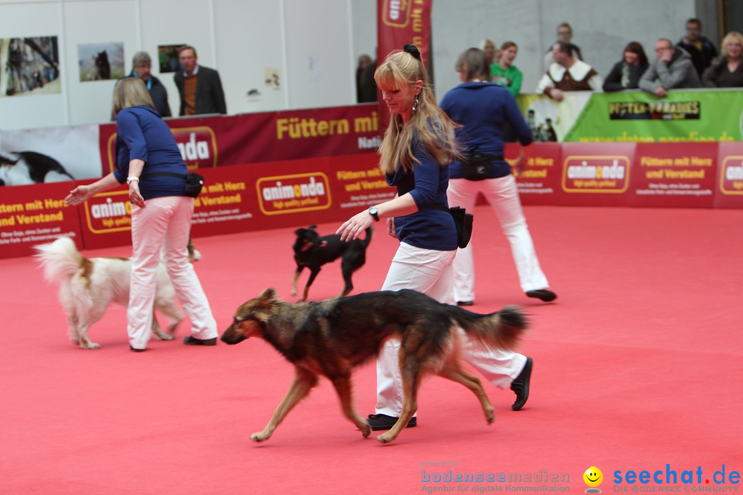 ANIMAL - Die Heimtiermesse: Messe Stuttgart, 16.11.2013