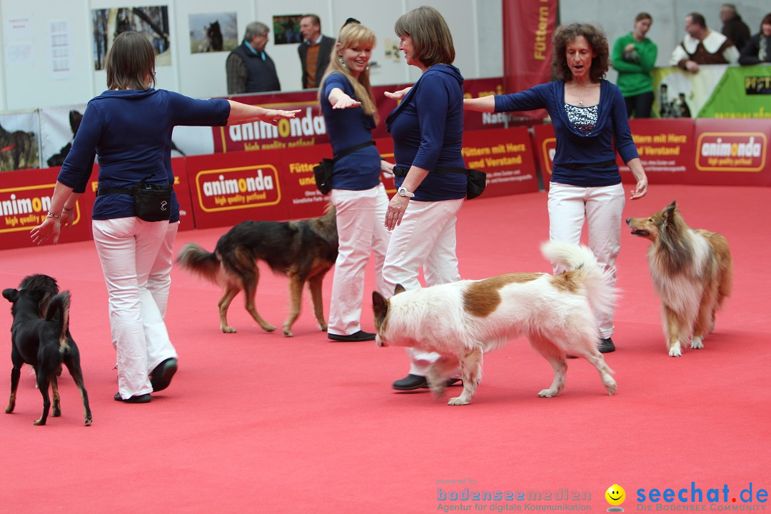 ANIMAL - Die Heimtiermesse: Messe Stuttgart, 16.11.2013