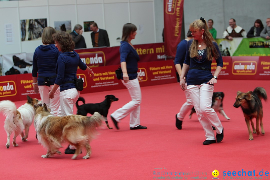 ANIMAL - Die Heimtiermesse: Messe Stuttgart, 16.11.2013