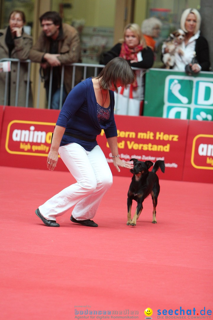 ANIMAL - Die Heimtiermesse: Messe Stuttgart, 16.11.2013