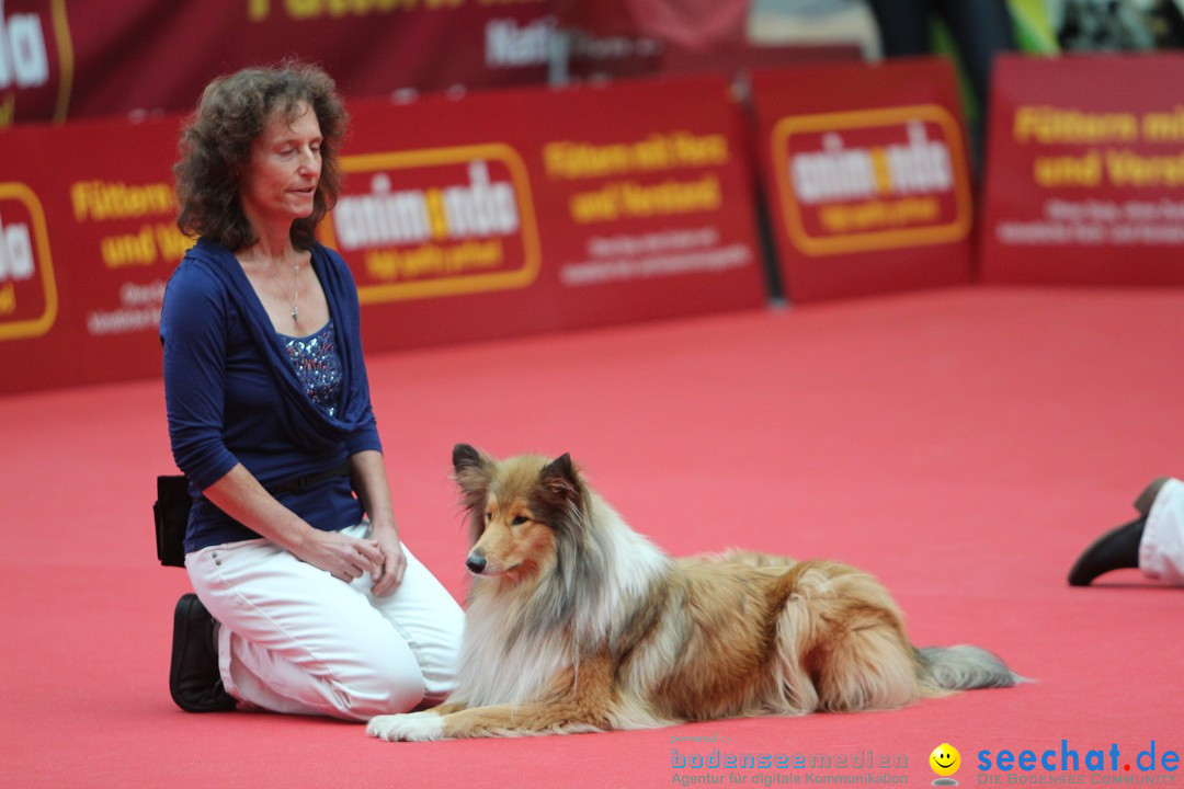 ANIMAL - Die Heimtiermesse: Messe Stuttgart, 16.11.2013