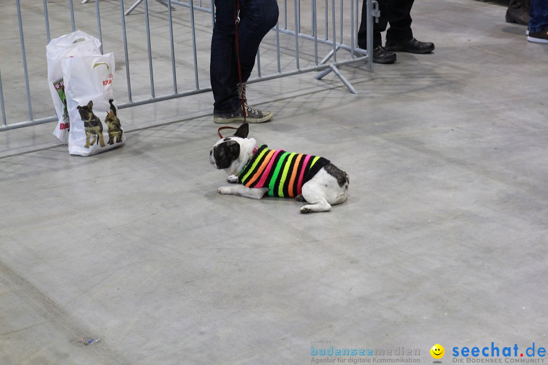 ANIMAL - Die Heimtiermesse: Messe Stuttgart, 16.11.2013