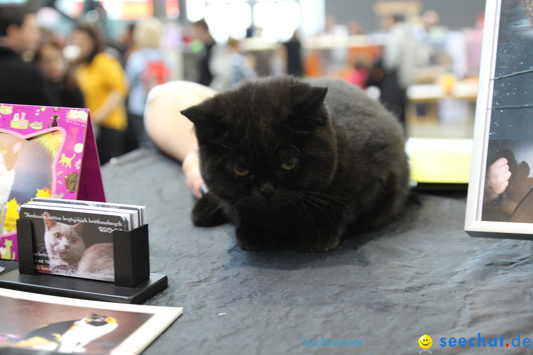 ANIMAL - Die Heimtiermesse: Messe Stuttgart, 16.11.2013