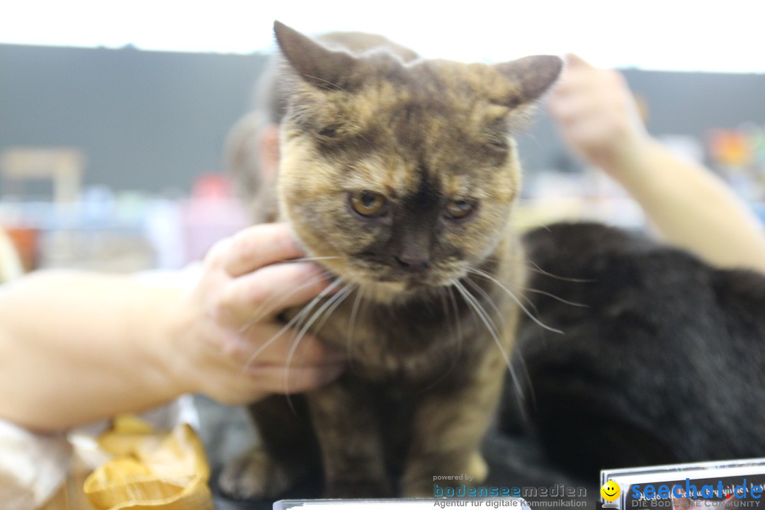 ANIMAL - Die Heimtiermesse: Messe Stuttgart, 16.11.2013