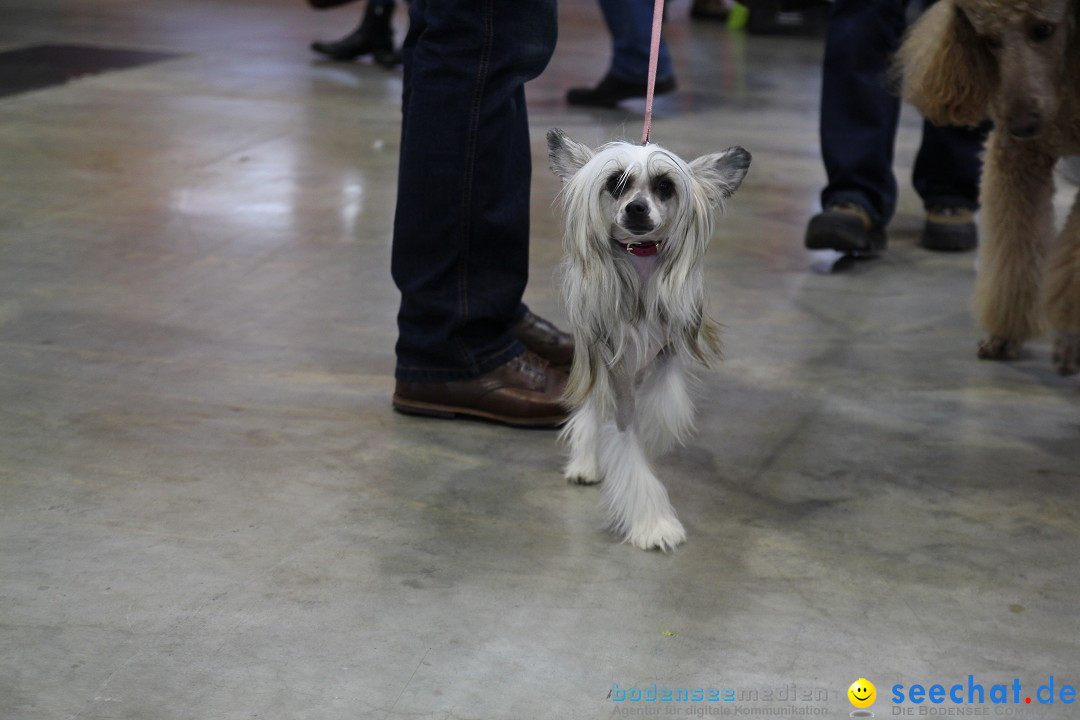 ANIMAL - Die Heimtiermesse: Messe Stuttgart, 16.11.2013