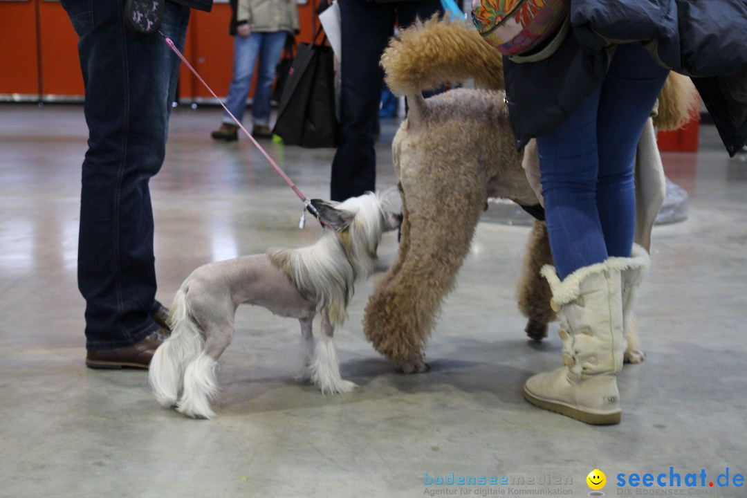 ANIMAL - Die Heimtiermesse: Messe Stuttgart, 16.11.2013