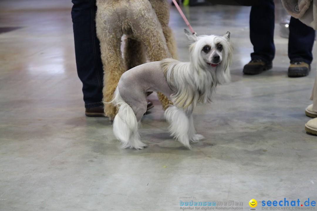 ANIMAL - Die Heimtiermesse: Messe Stuttgart, 16.11.2013