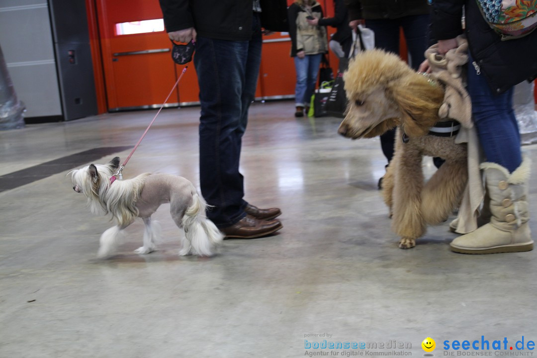 ANIMAL - Die Heimtiermesse: Messe Stuttgart, 16.11.2013