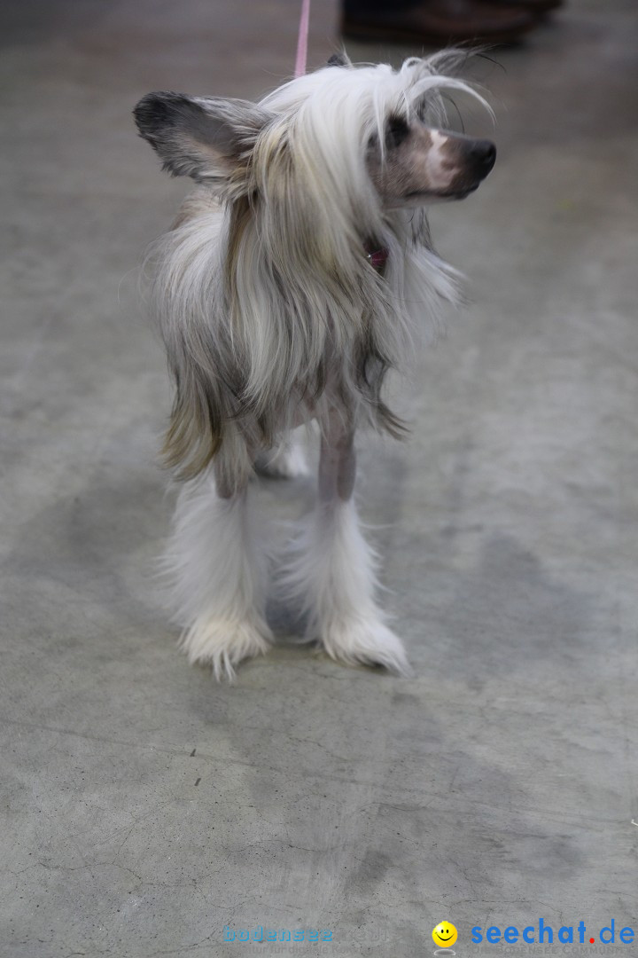 ANIMAL - Die Heimtiermesse: Messe Stuttgart, 16.11.2013