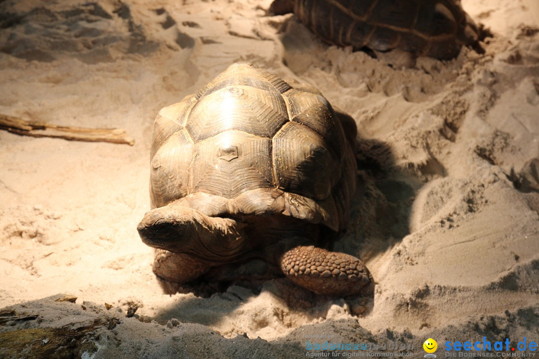 ANIMAL - Die Heimtiermesse: Messe Stuttgart, 16.11.2013