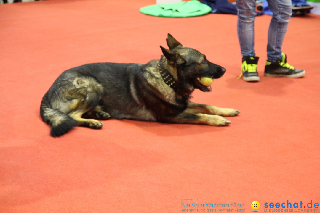 ANIMAL - Die Heimtiermesse: Messe Stuttgart, 16.11.2013